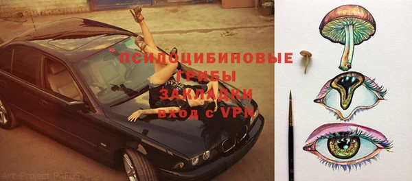 круглые Ельня