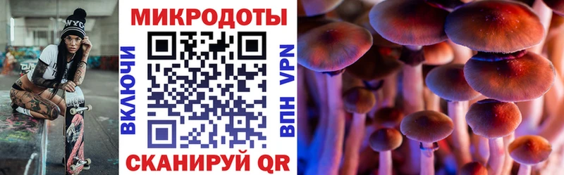 Галлюциногенные грибы мицелий  где найти наркотики  Удачный 